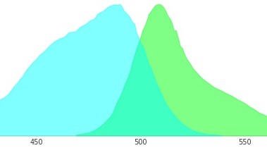 綠色熒光蛋白EX488和EM510是指什么？